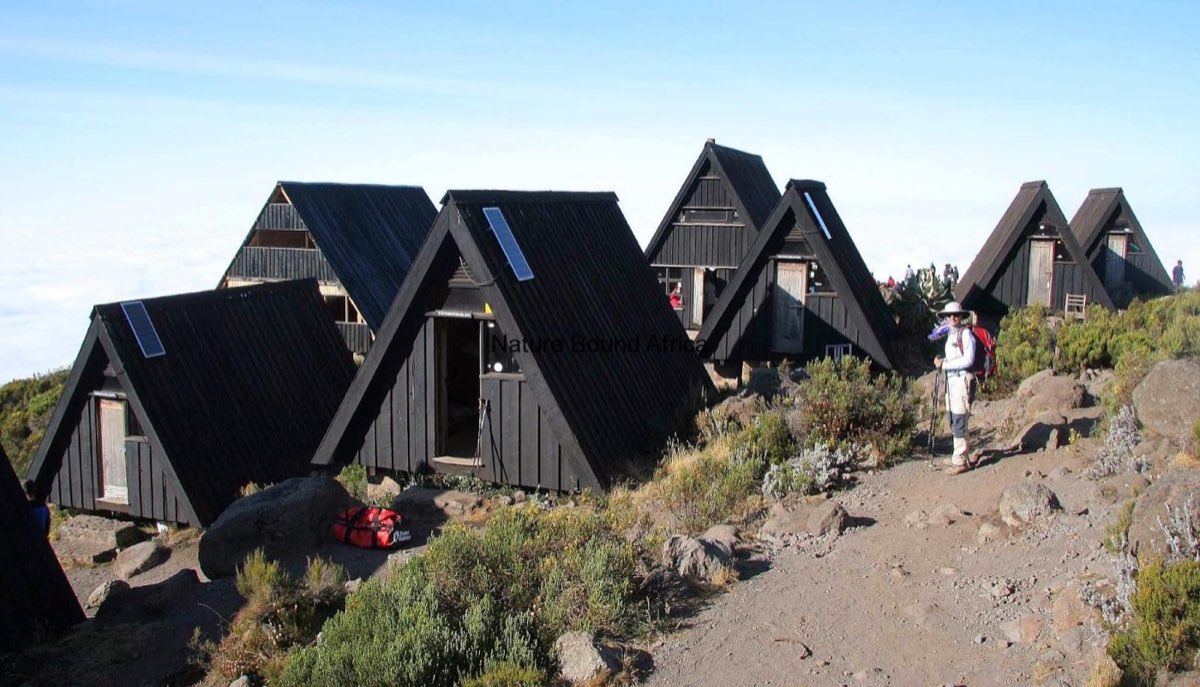 Acclimatization Day at Horombo Hut