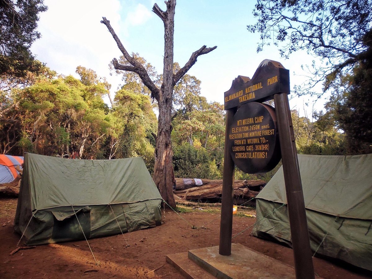 Mti Mkubwa to Shira 1 Camp