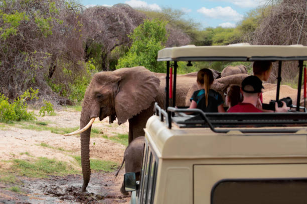 3 Days in Selous Game Reserve