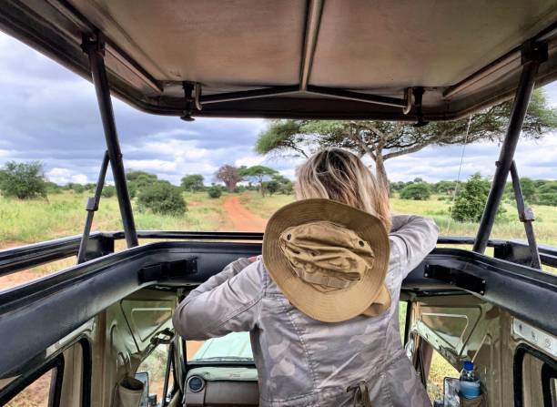Safari guide and guests in an open game-drive vehicle