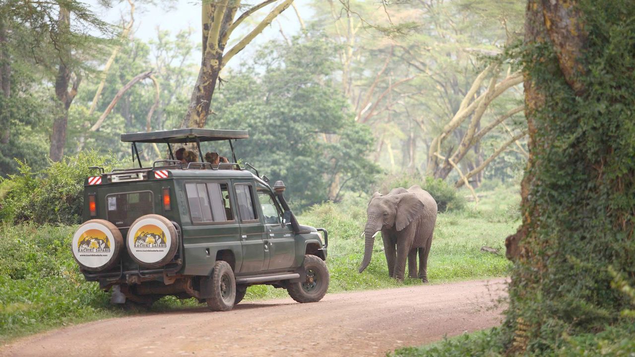 Shared Group Safaris