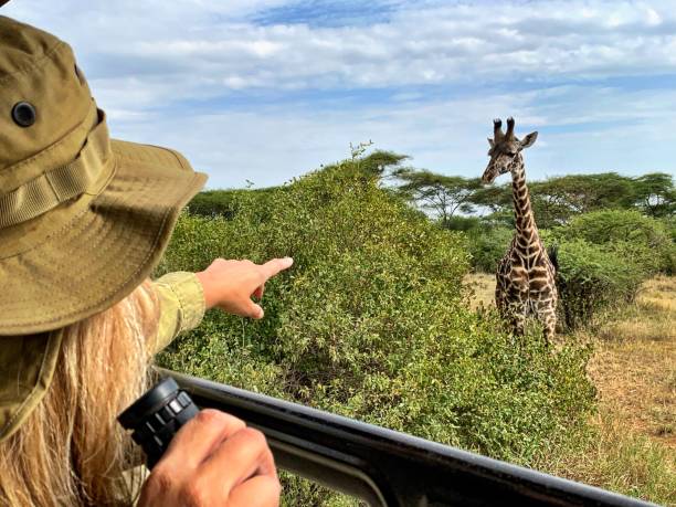 Highlights of Northern Tanzania